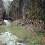 DSCN1715