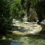 DSCN3862