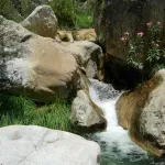 DSCN3919
