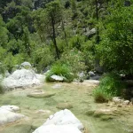 DSCN3930