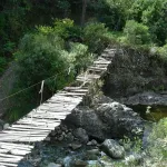 DSCN5965