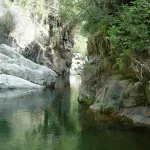 DSCN5982