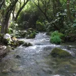 Río Majaceite