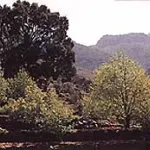 arboleda