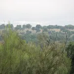 CAÑADA REAL SORIANA TRAMO 2