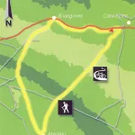 Mapa de ruta