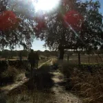 RUTA PORTEZUELO - MOTILLA