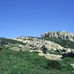Canuto del Risco Blanco