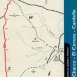 Mapa de ruta