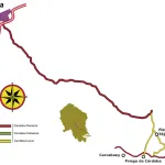 Mapa de ruta