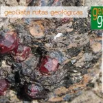 Granatilla Hoyazo Níjar