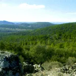 Ruta del Condado de Belalcázar