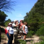 Zahara de los Atunes - Bolonia