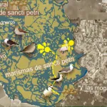 Ruta Ornitológica Carboneras (Chiclana de la Frontera)