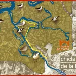 Ruta Ornitológica Salina Santa María de Bartivás (Chiclana de la Frontera)