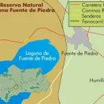 Mirador de la Vicaría (Laguna de Fuente de Piedra)