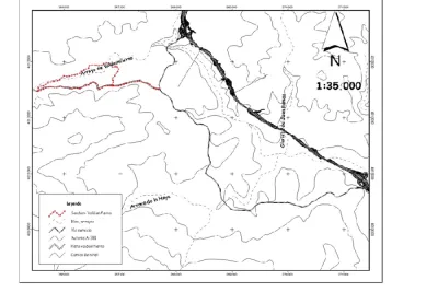 Mapa de ruta