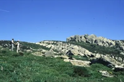 Canuto del Risco Blanco