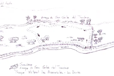 Mapa de ruta