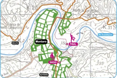 Mapa de ruta