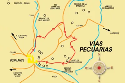 Mapa de ruta
