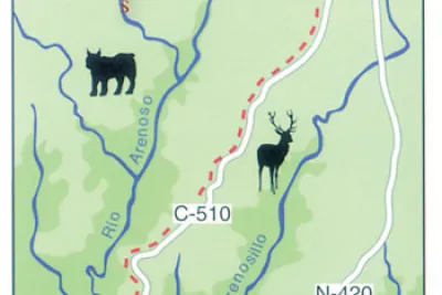 Mapa de ruta