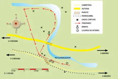 Mapa de ruta