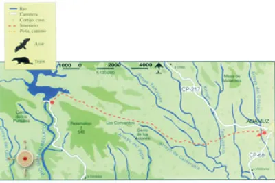 Mapa de ruta