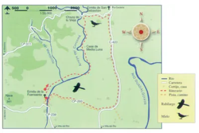 Mapa de ruta