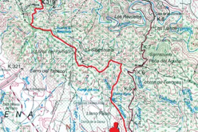 Mapa de ruta