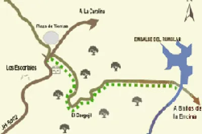 Mapa de ruta
