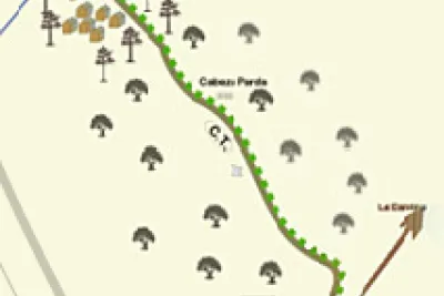 Mapa de ruta