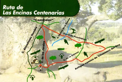 Ruta de las Encinas Centenarias (Añora)