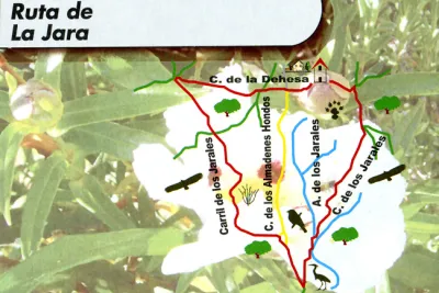 Ruta de la Jara (Añora)