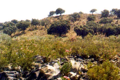 Recorrido por Fuente La Lancha