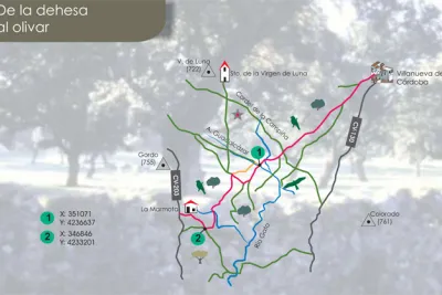 De la dehesa al olivar