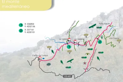 El monte Mediterráneo