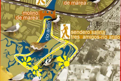 Ruta Ornitológica Rio Arillo (San Fernando-Cádiz)