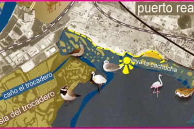 Ruta Ornitológica Paseo Marítimo (Puerto Real)