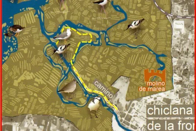 Ruta Ornitológica Salina Santa María de Bartivás (Chiclana de la Frontera)