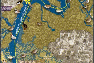 Ruta Ornitológica Caño Sancti Petri (Chiclana de la Frontera)