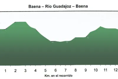 Perfil