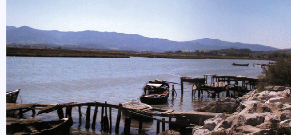 Desembocadura Rio Palmones