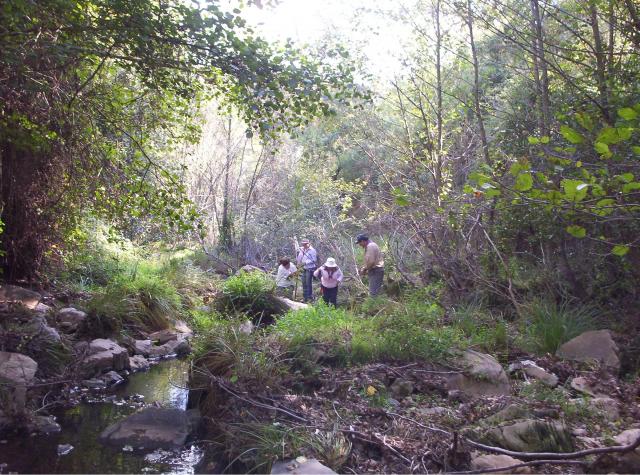 Rivera de la Monuleta Arroyo Quejigo y los Chorreros