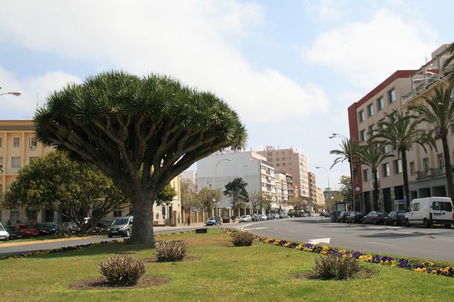 Puerta de Tierra