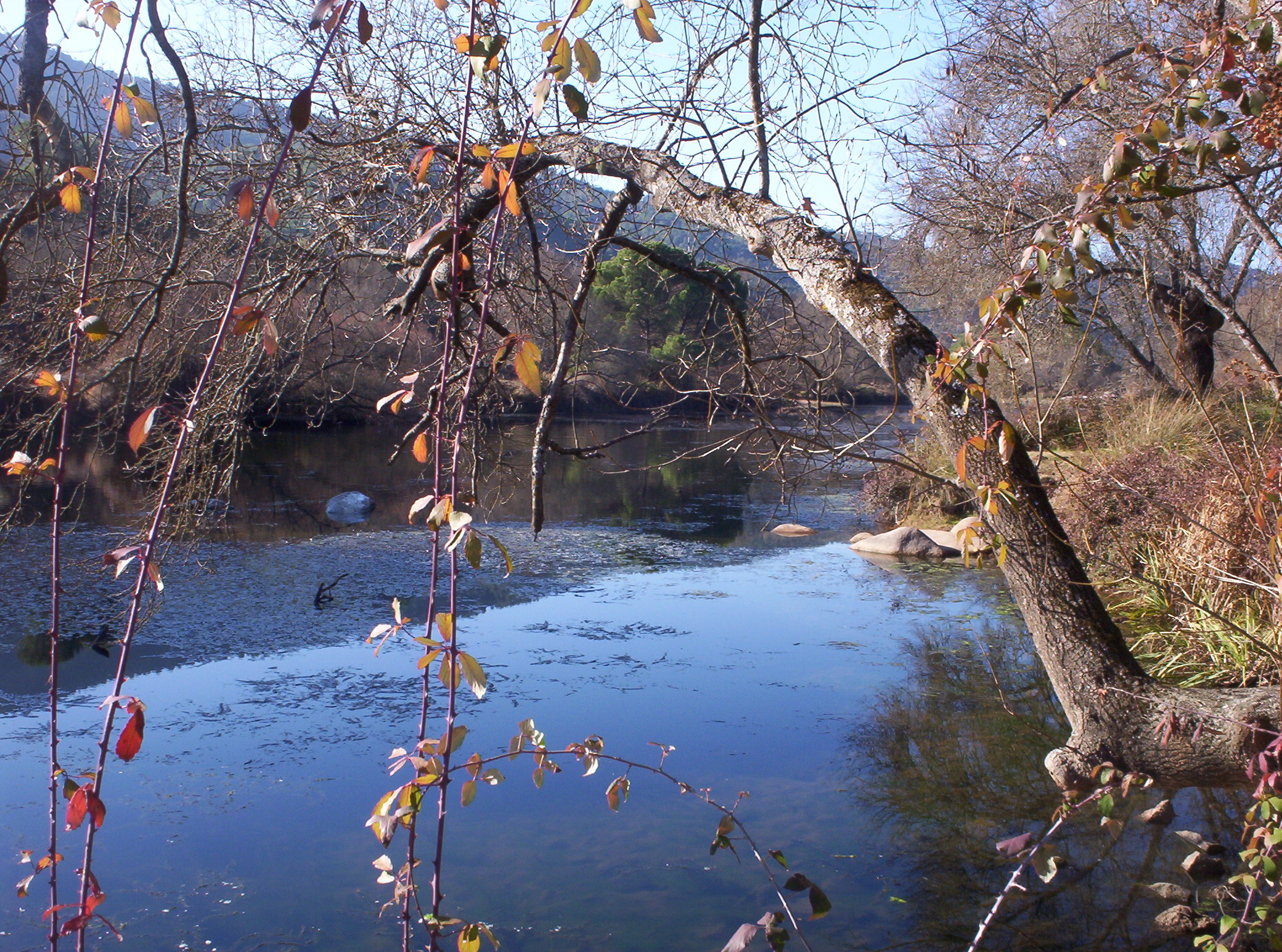 parque natural sierra de andújar lugar nuevo z. recreativa la recta