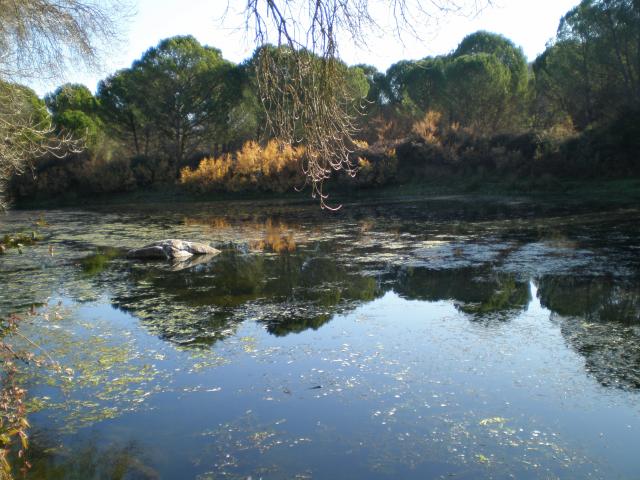 Parque Natural Presa del Jandula Adujar Jaen