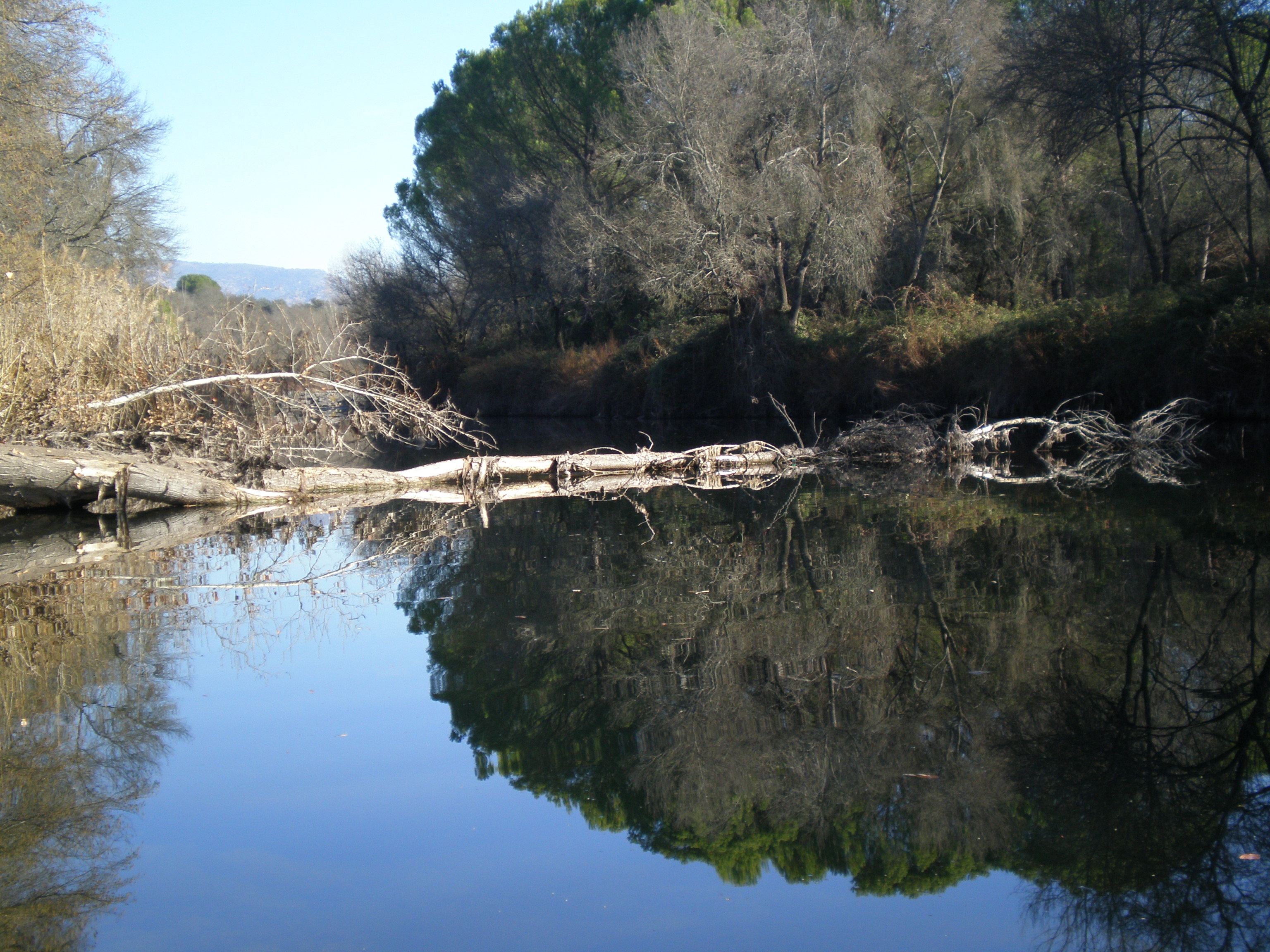 Parque Natural de Andujar Embalse Jandula