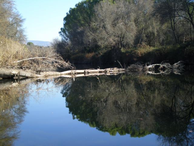 Parque Natural de Andujar Embalse Jandula
