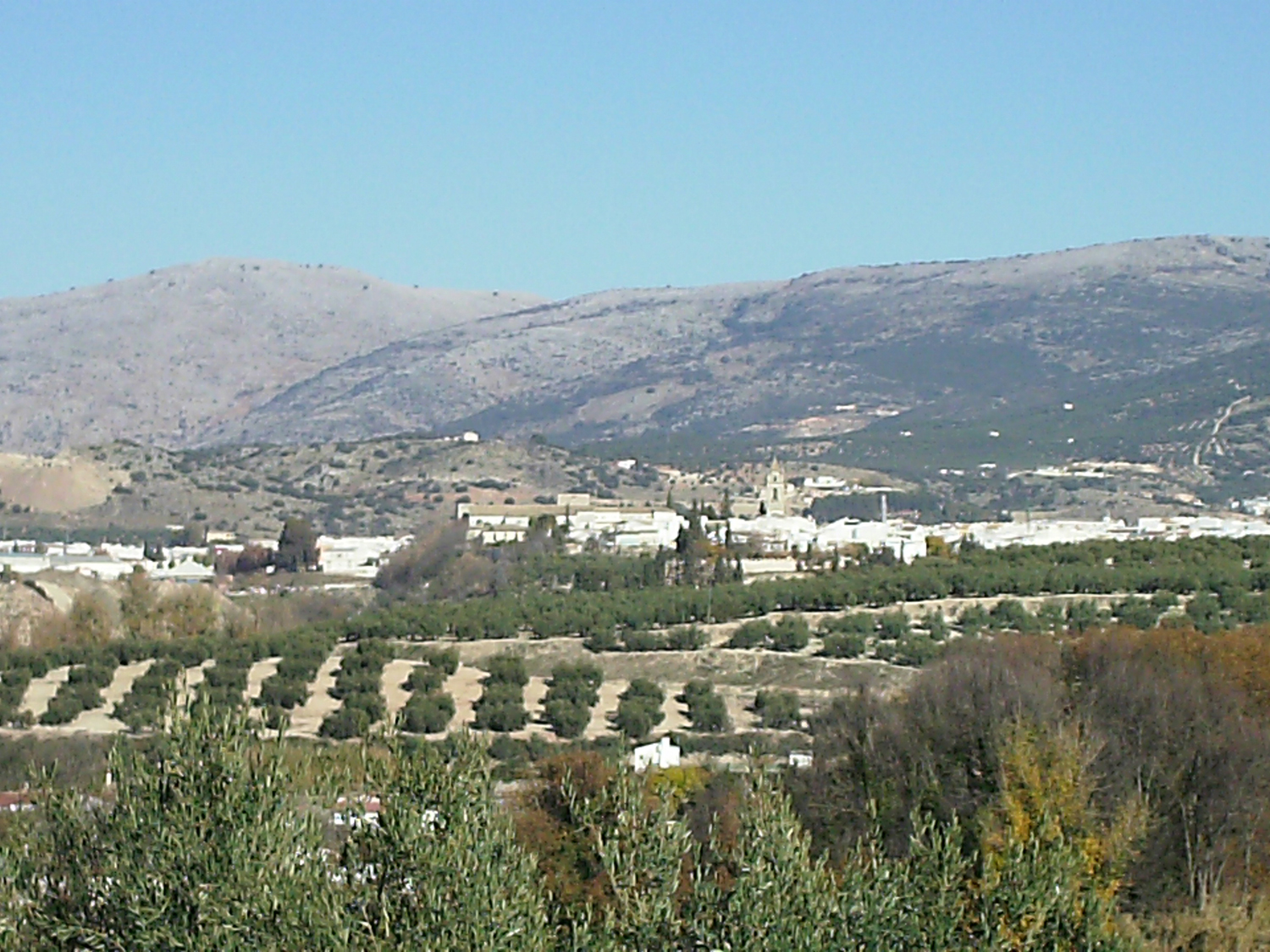 Cabra